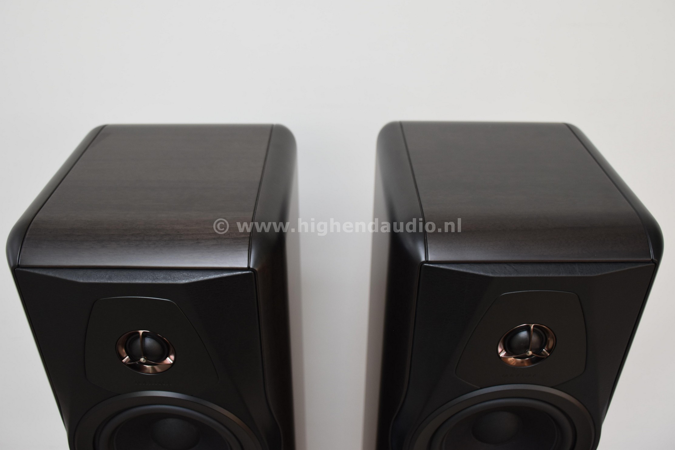 SF-MaximaAmator-463-top_wm